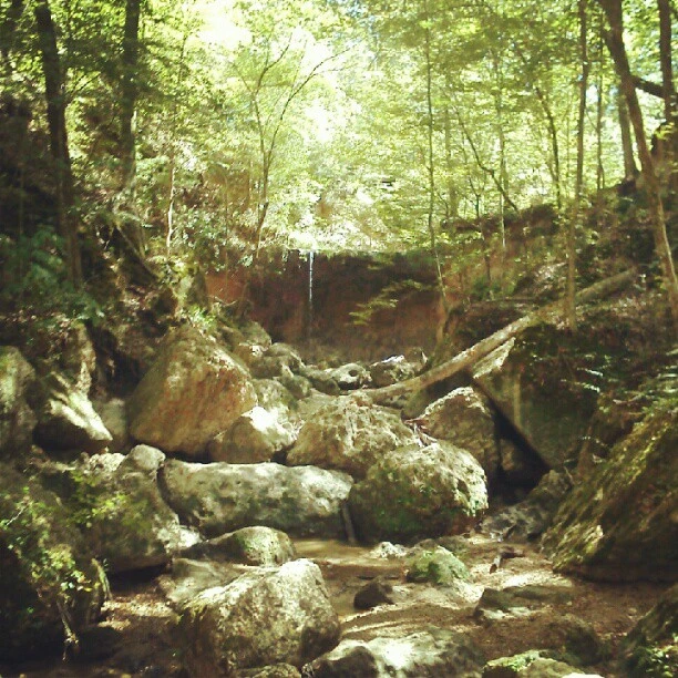 Mississippi's got waterfalls!
