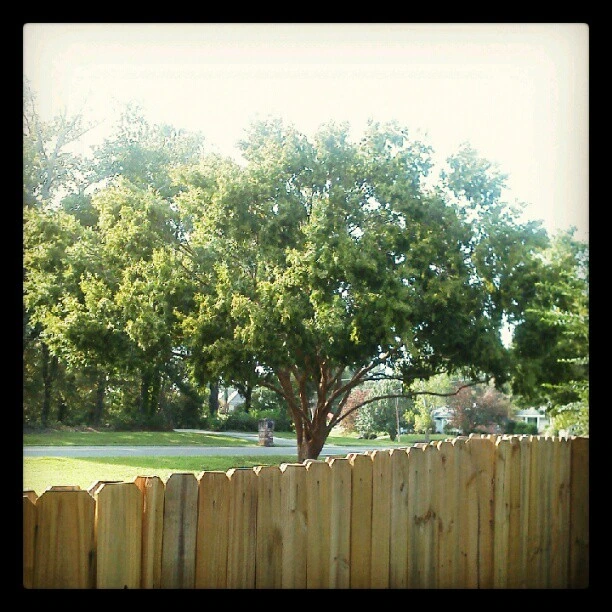 Life in the suburbs