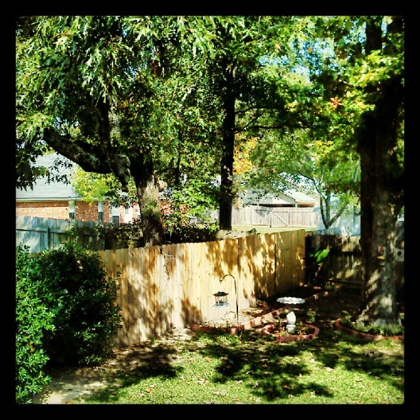 Backyards