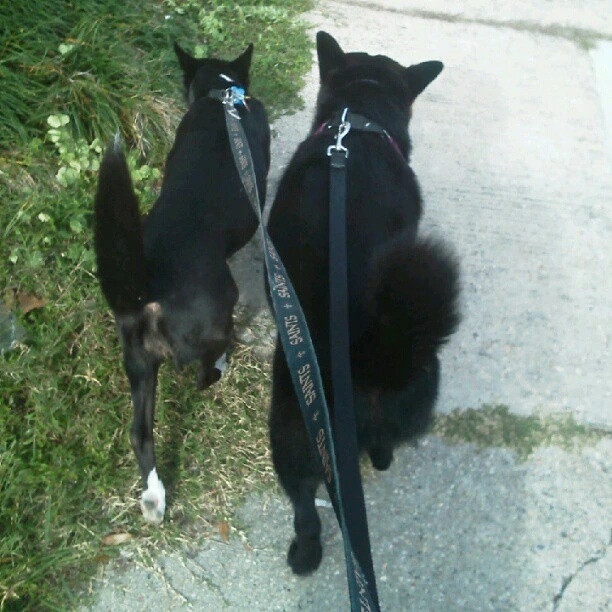Nola & Timbers!