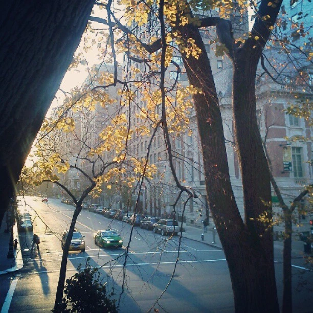 Trickle morning
