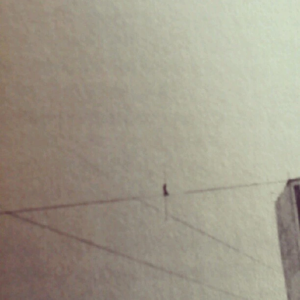 #philippepetit #letthegreatworldspin