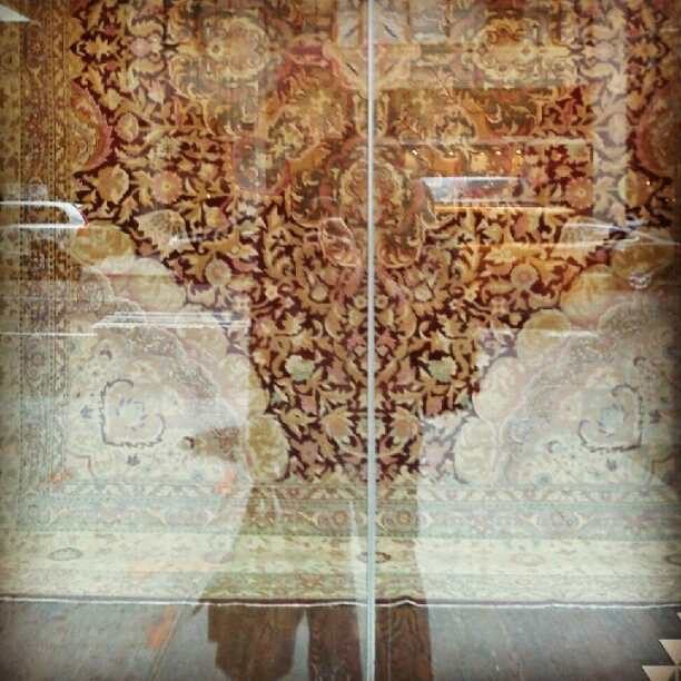 Trip reflections