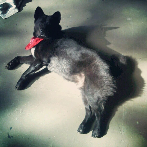 Rub me, he says.