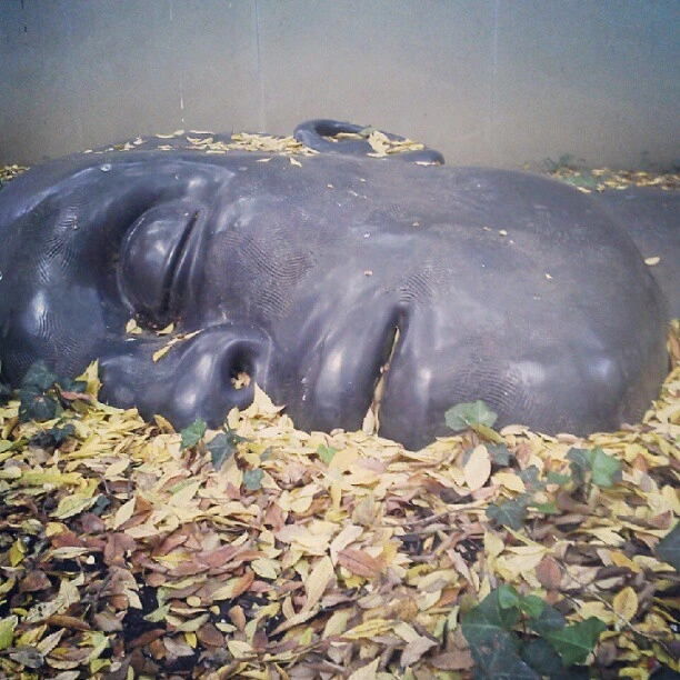 Sculpture  #moma