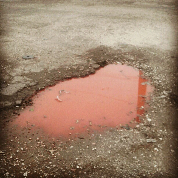 Backroad puddle