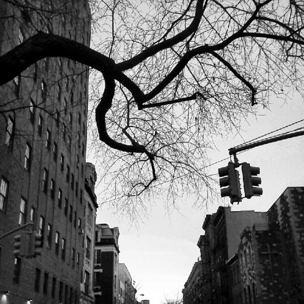 #citytree
