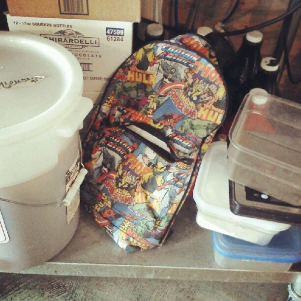 Some poor kid lost this awesome backpack