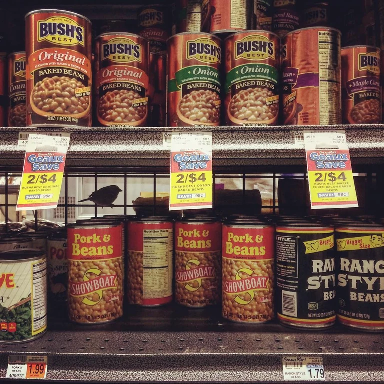 The birds and the beans