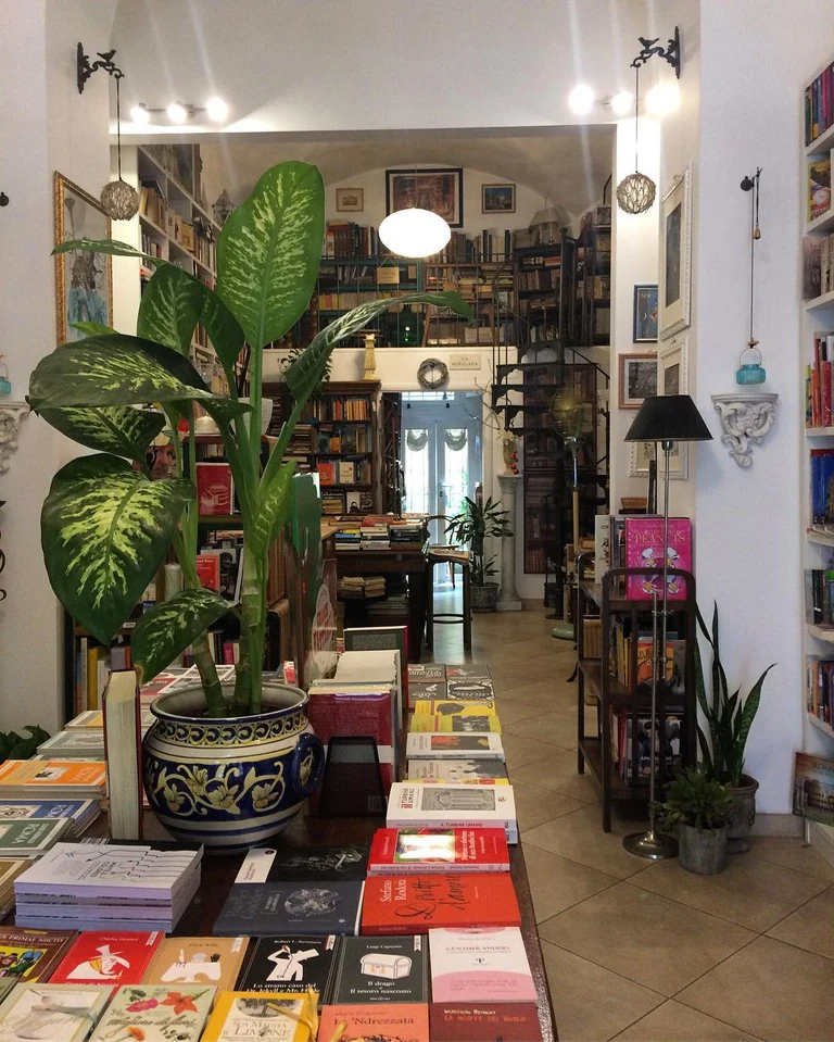 Roaming through bookstores even when I can't buy a book or can't read the language, sometimes I'll flip through and read passages but often I'll just look at the covers and read the spines.