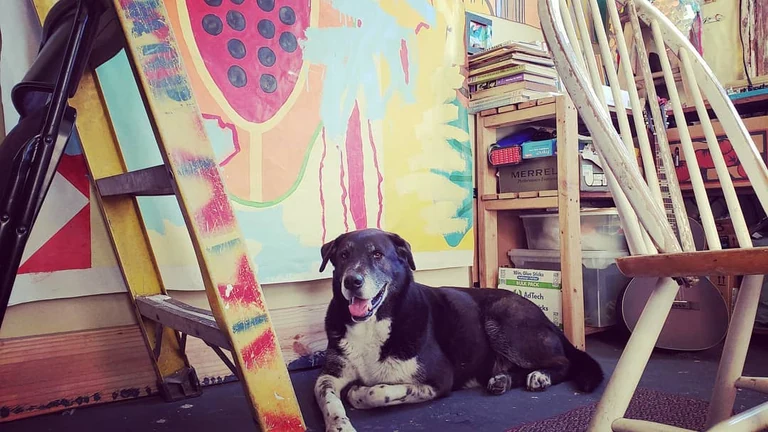 blissed out on barkus
.
.
.
.
.
.
.
#carnival #papayaworld #russelltheband #whitesocks #sadieworld #aquariumresidency #aquariumgallery #barkus #bliss4days