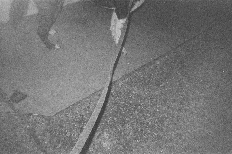Taking a walk with Russell in the Quarter.
November 21, 2019