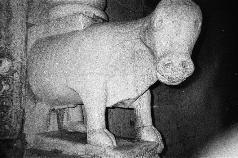 Two stone bulls guard the door of the Basilica of Saint Nicholas in Bari, Italy, which was under construction for 110 years between 1087 and 1197. Not sure when they lost their horns. I'm reading that Nikolaos the Wonderworker is the patron saint of children, sailors, the falsely accused, repentant thieves, brewers, archers, pharmacists(?), the list goes on. The cosmology.of the saints is a fascinating mystery to someone raised Baptist. Apparently bulls were the animals chosen to carry ole Nic's relics from Rome to the site of his future Basilica. When they got to Bari, legend has it they stopped, refusing to haul their sacred cargo any further, and thus the location was decided.

In the dark of night, drunk on cheap wine, the bulls glowed like a couple aliens -- we thought they were very odd cows, kinda awkward but beautiful, forever emerging from the facade and never quite escaping it either.