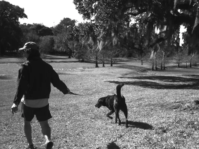 Recovered these photos from an accidental card deletion. A spontaneous trip south to Chauvin and Houma and Avery Island in January 2020. It turned out to be the last adventure with our beloved Russell.