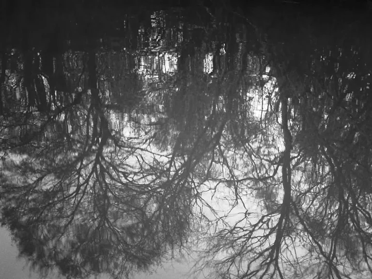 Recovered these photos from an accidental card deletion. A spontaneous trip south to Chauvin and Houma and Avery Island in January 2020. It turned out to be the last adventure with our beloved Russell.