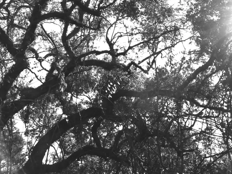 Our living is a little drop into vastness... I wonder what of us will ripple out once we've gone under.