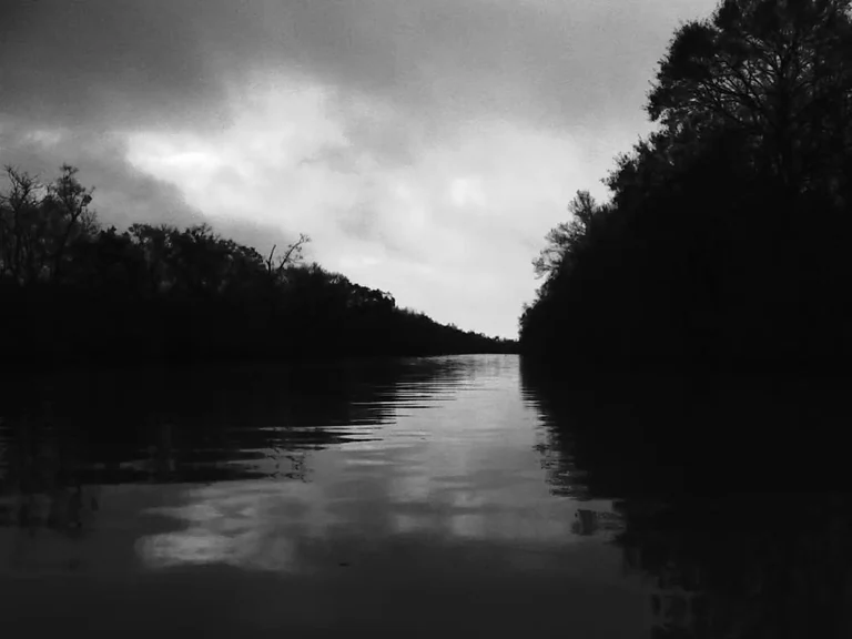 Recovered these photos from an accidental card deletion. A spontaneous trip south to Chauvin and Houma and Avery Island in January 2020. It turned out to be the last adventure with our beloved Russell.