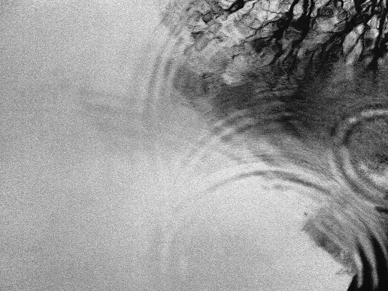 Our living is a little drop into vastness... I wonder what of us will ripple out once we've gone under.