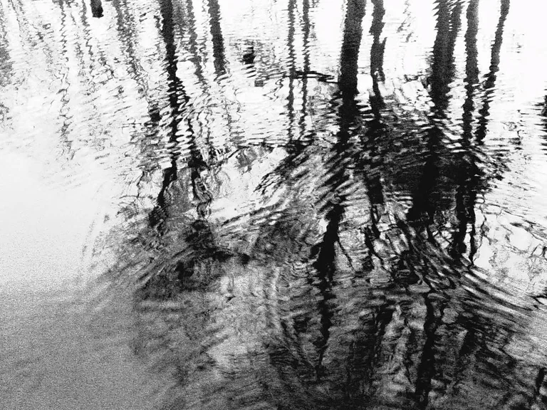 Our living is a little drop into vastness... I wonder what of us will ripple out once we've gone under.