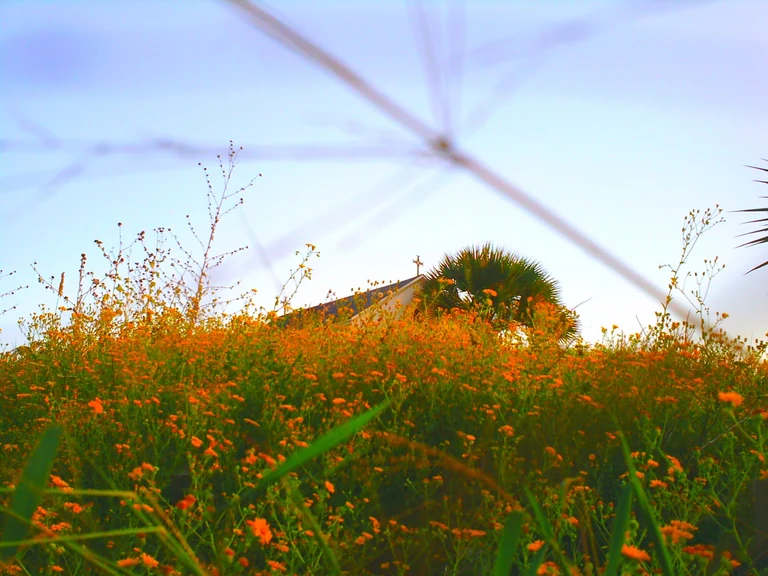Chapel on the Dunes