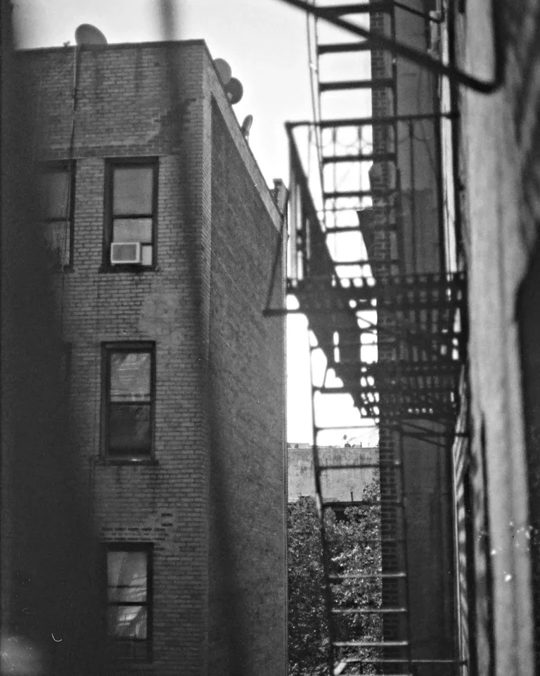 working with gratitude. february 9, feast day of apollo. crash noise brake sounds of the city stream through our window. a cool 50Â° day. terrors abound and yet we find joy in small things. a boy backflipping off rubble to cheers sliding down the sand. may the sun bring light to the forces within us which desire most deeply to foster life.