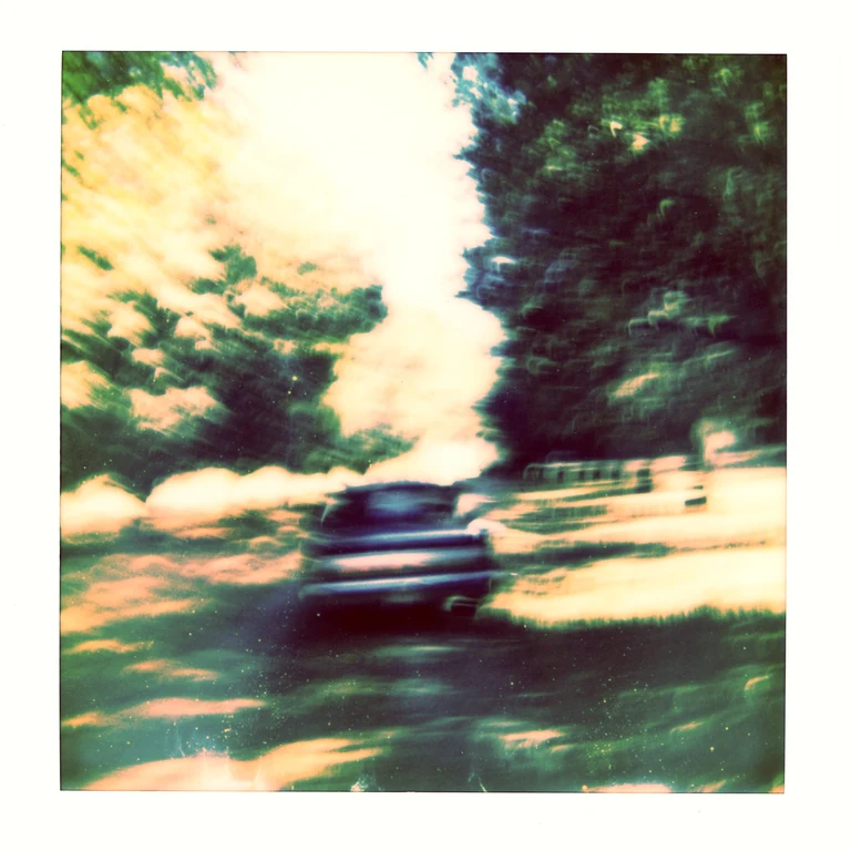 Tarleton Blackwell's row of live oak trees which he planted along his driveway 20 years ago. Somewhere outside Manning, South Carolina with his dog, General. Photo 1 & 3 shot on polaroid film that went through an X-ray machine. #tarletonblackwell