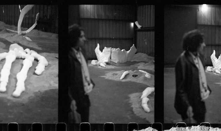never failing to mesmerize with perception bending, multi-layered work, Diane presented the first iteration of âThe Dawn of Species Singularityâ with Lera Niemackl last winter, a few months after the stunning âSilent Springâ at The Front. both experiences sparked strange firings of sensation in my brain and body and had me walking out with new thoughts, new questions, and more feeling. time slowing, space expanding, matter compressing, becoming aware of awareness. the work holds layers of meaning depending on who you are but in both I'm struck by the devotion, the creative risk taking, the consideration, and the patience.