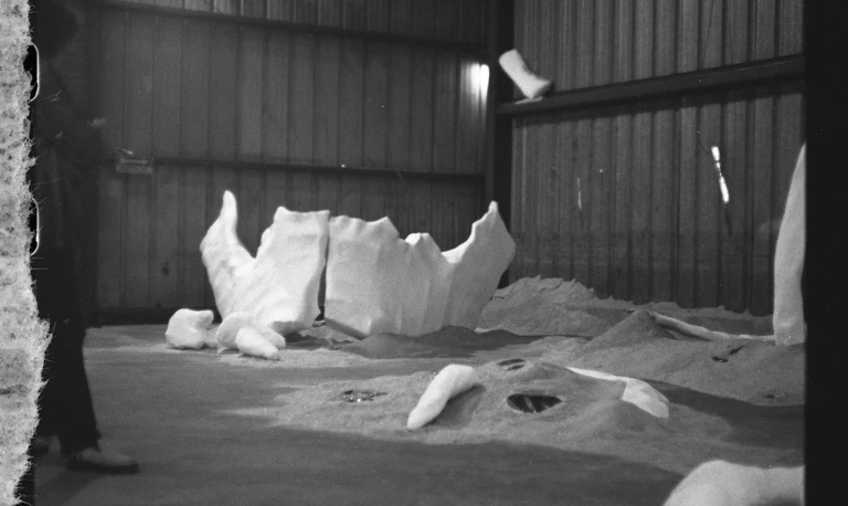 never failing to mesmerize with perception bending, multi-layered work, Diane presented the first iteration of âThe Dawn of Species Singularityâ with Lera Niemackl last winter, a few months after the stunning âSilent Springâ at The Front. both experiences sparked strange firings of sensation in my brain and body and had me walking out with new thoughts, new questions, and more feeling. time slowing, space expanding, matter compressing, becoming aware of awareness. the work holds layers of meaning depending on who you are but in both I'm struck by the devotion, the creative risk taking, the consideration, and the patience.