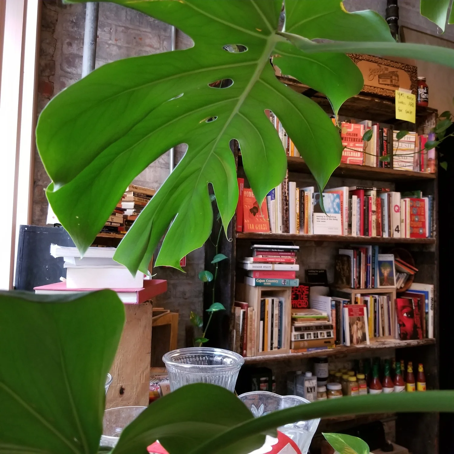 Cricket Books and the Reading Room, photograph 2