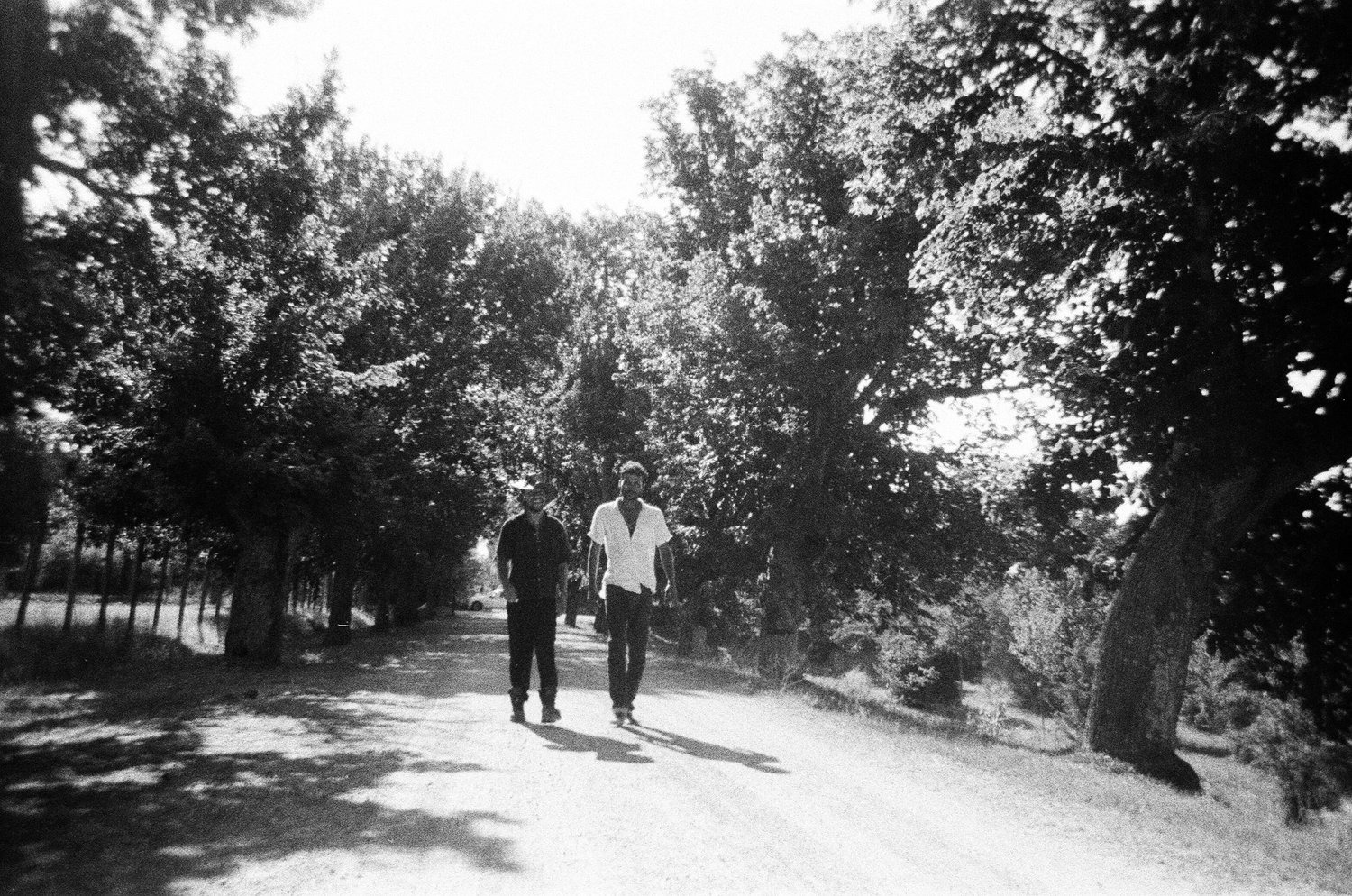 Selected Photos, photograph 4