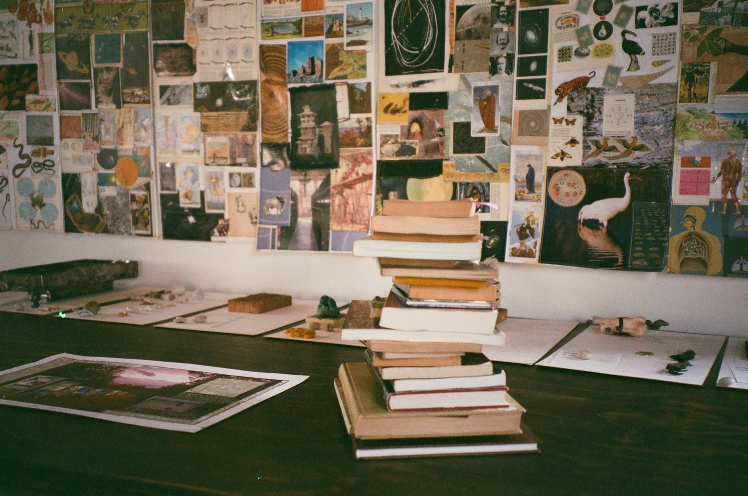 Selected Photos, photograph 23