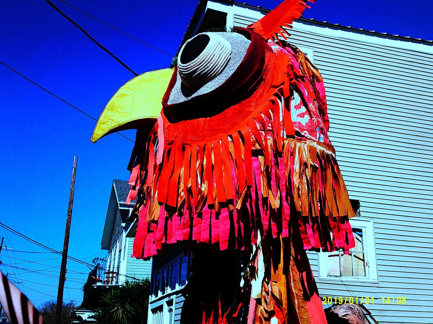 Selected Photos, photograph 46