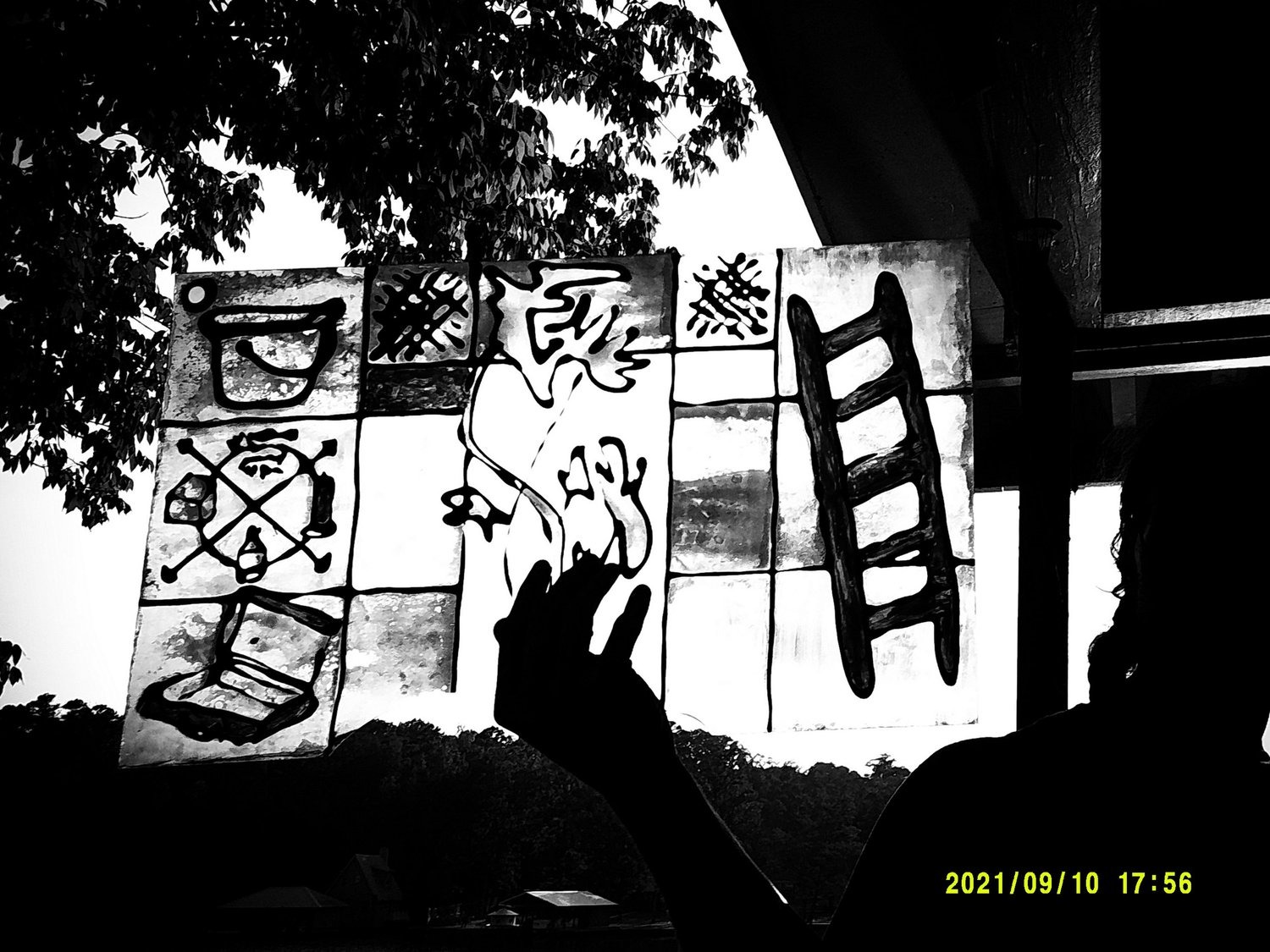 Selected Photos, photograph 58