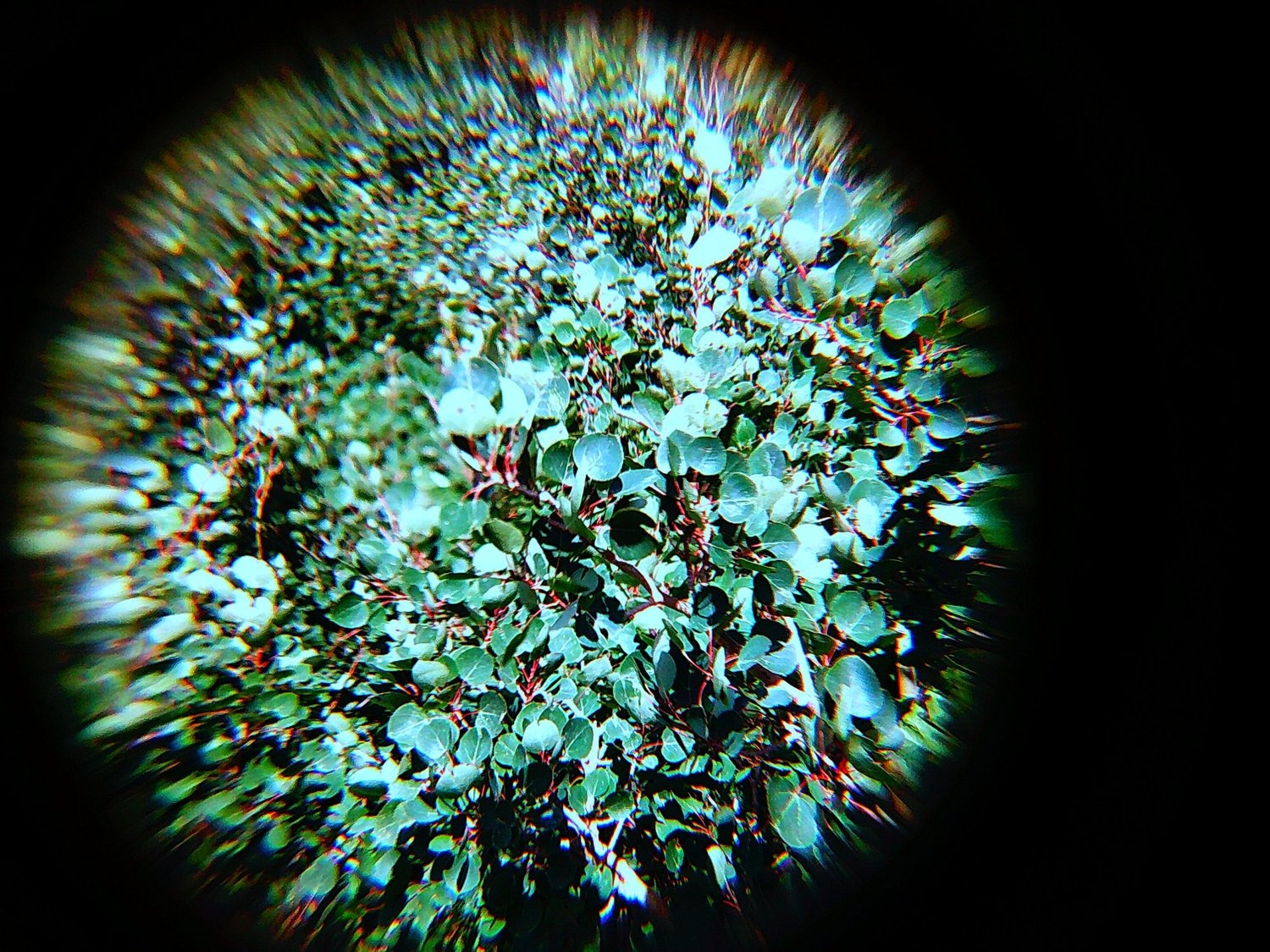 Selected Photos, photograph 62
