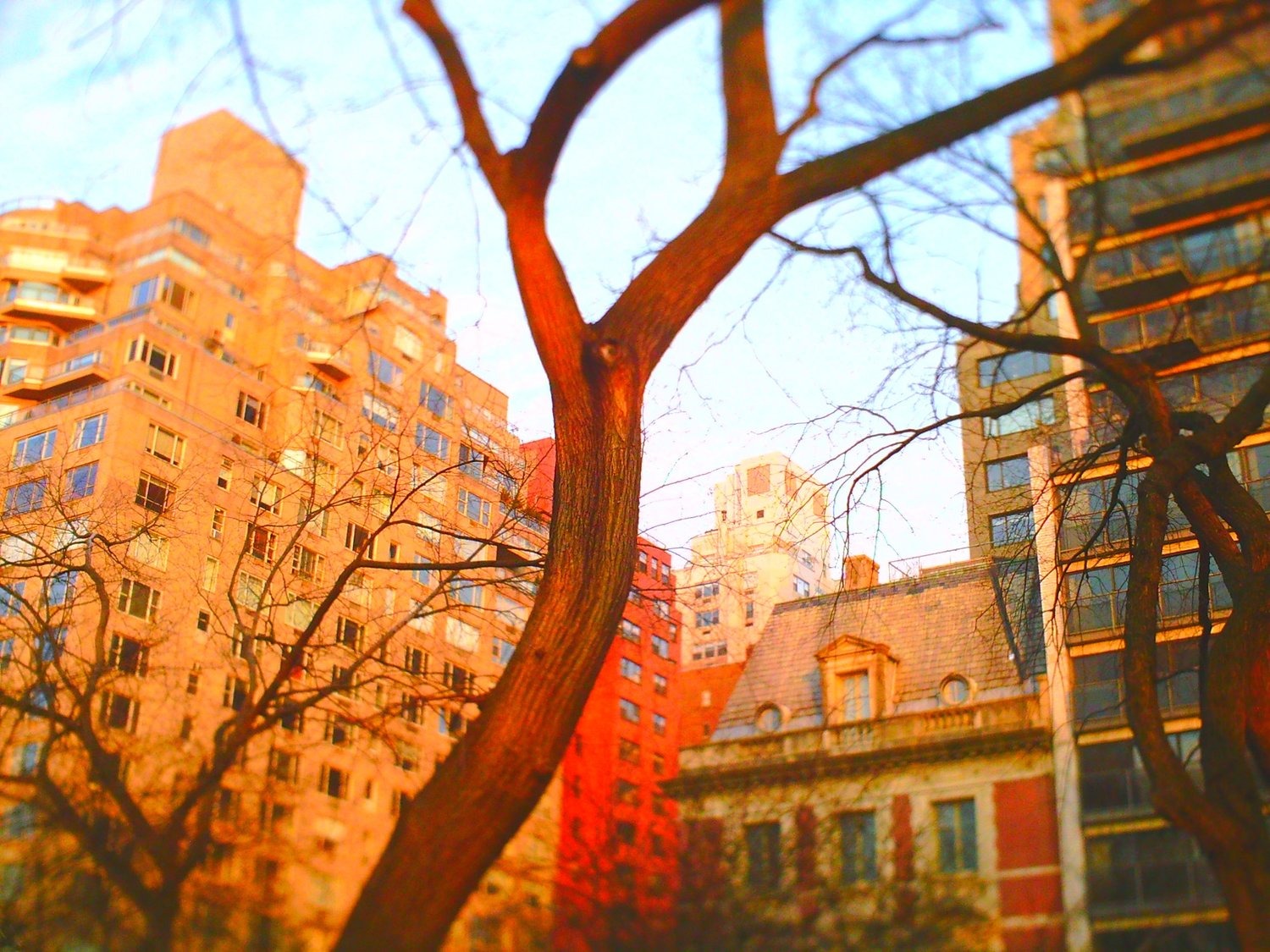 Selected Photos, photograph 67