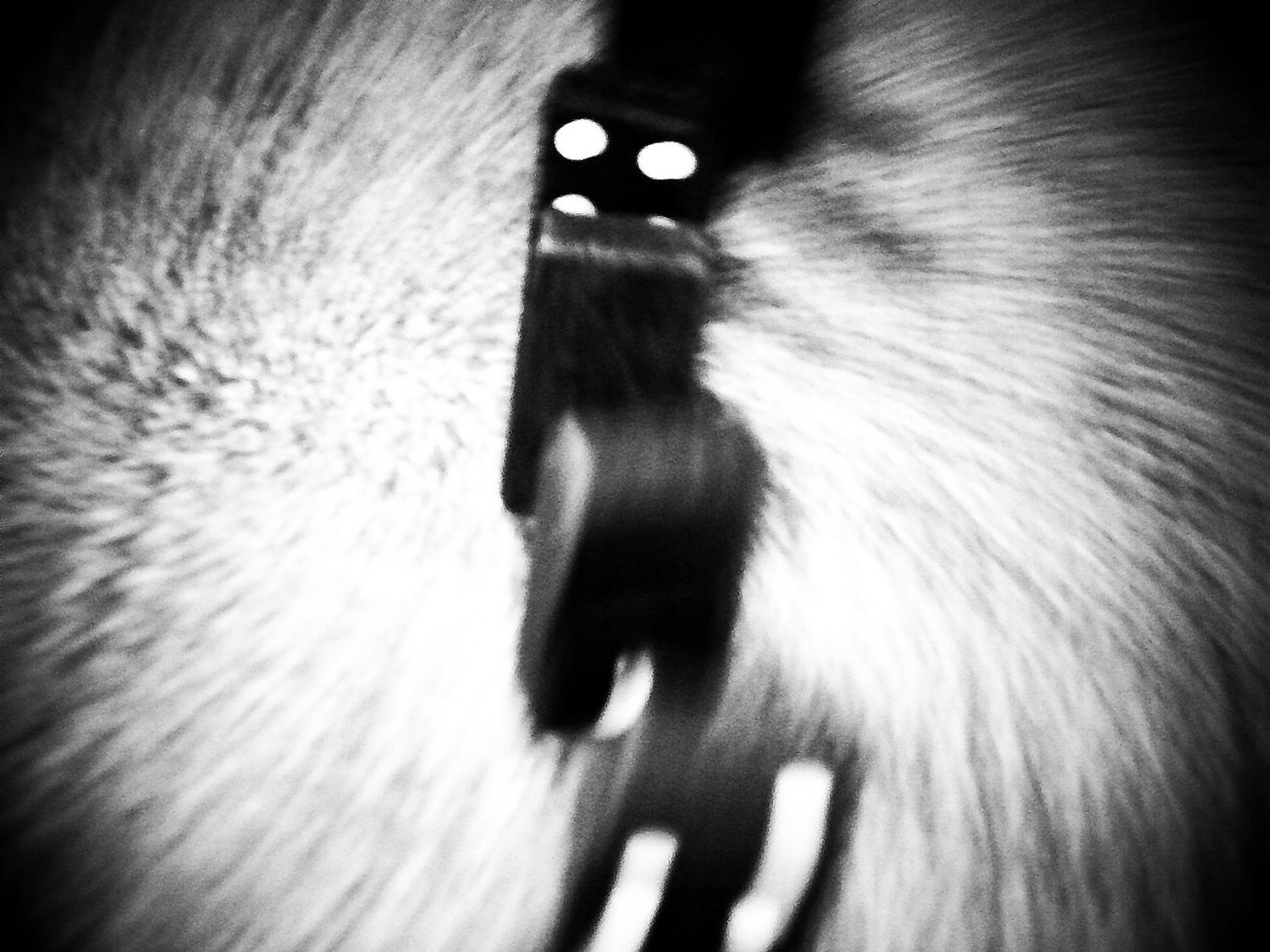 Selected Photos, photograph 70
