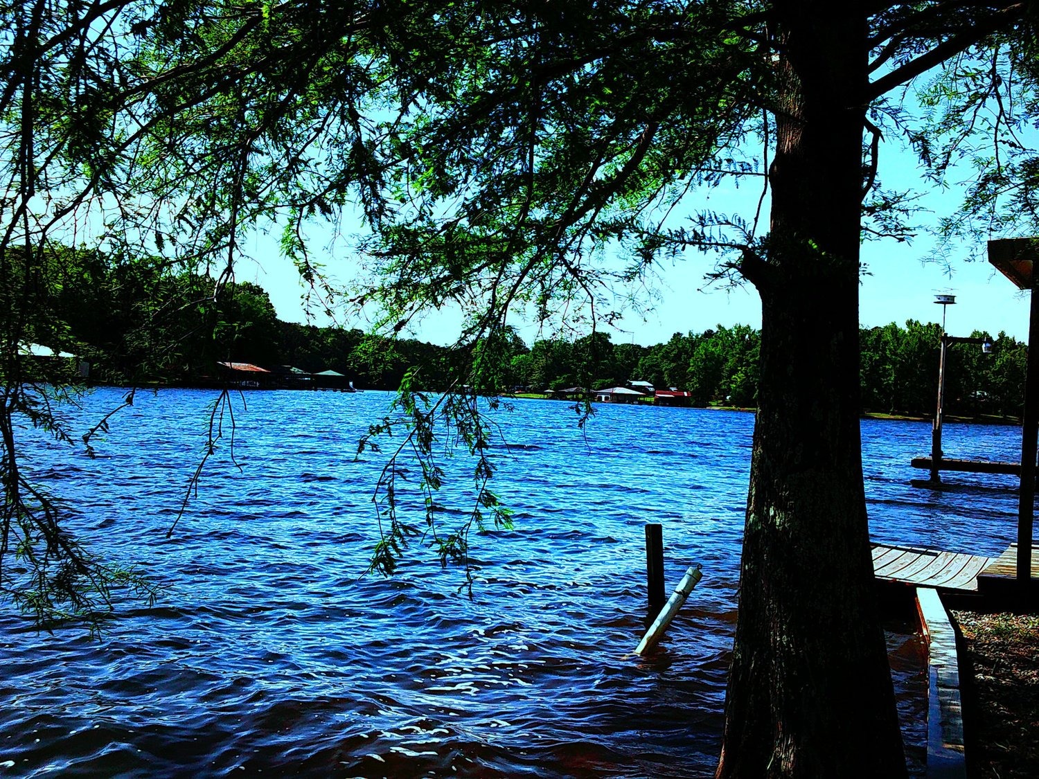 Selected Photos, photograph 75