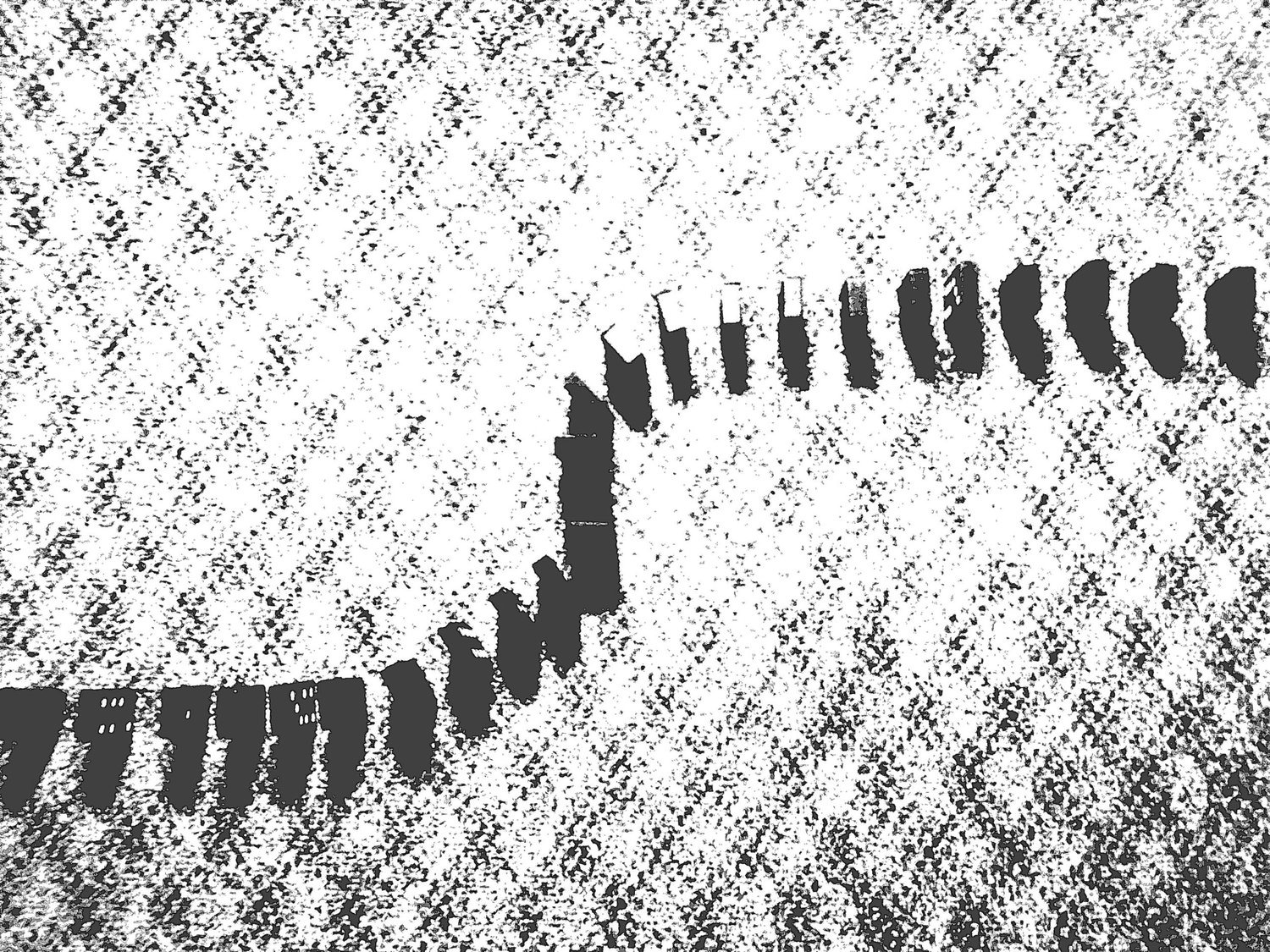 Selected Photos, photograph 77