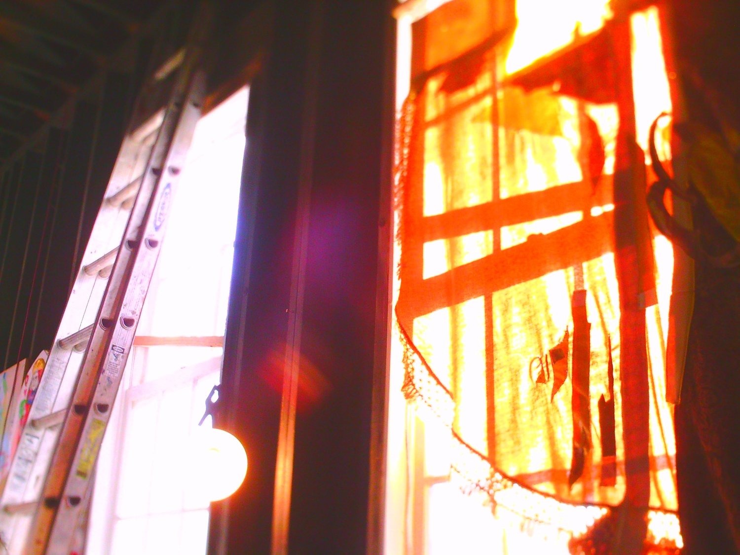 Selected Photos, photograph 95