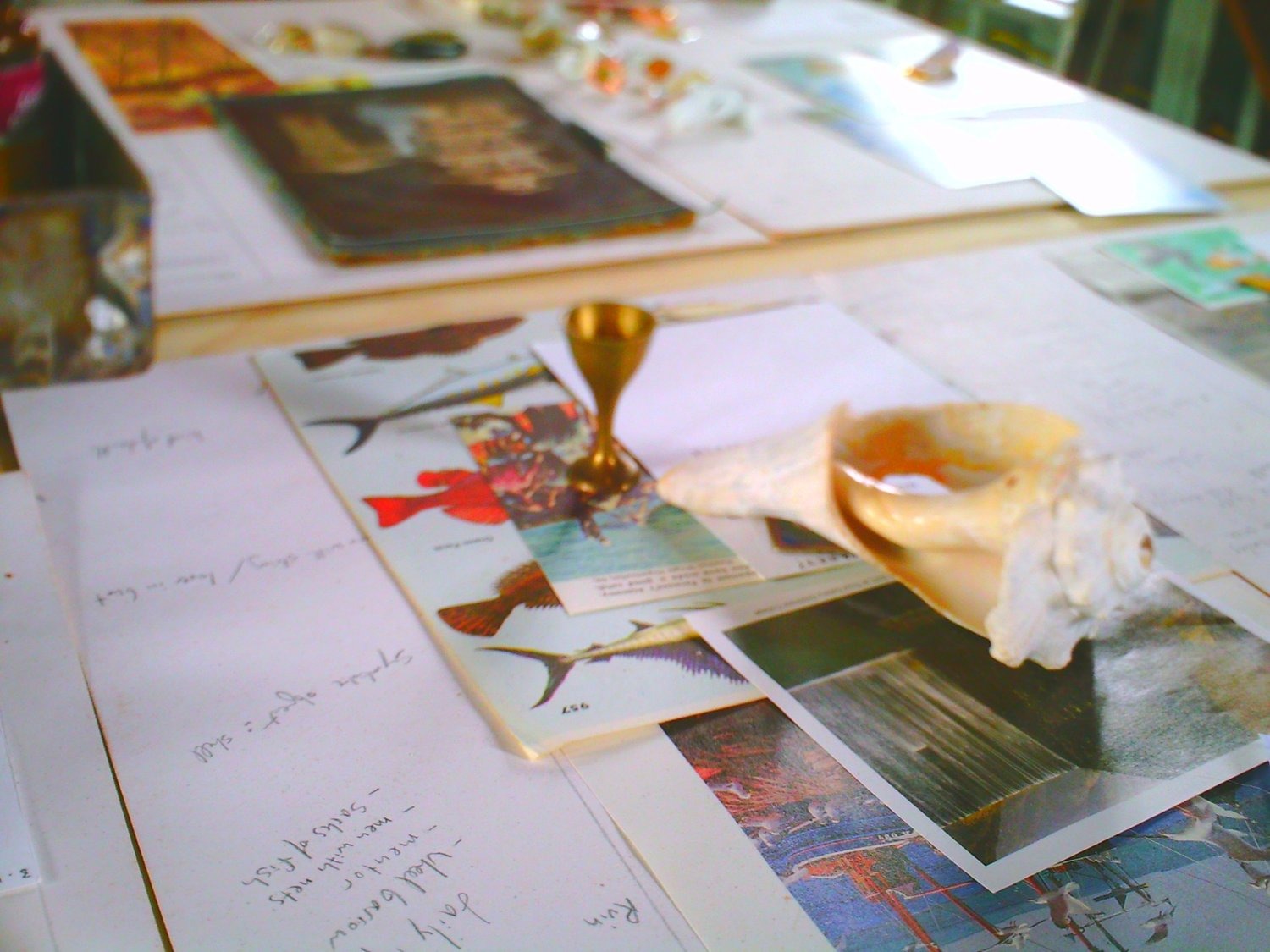 Selected Photos, photograph 105