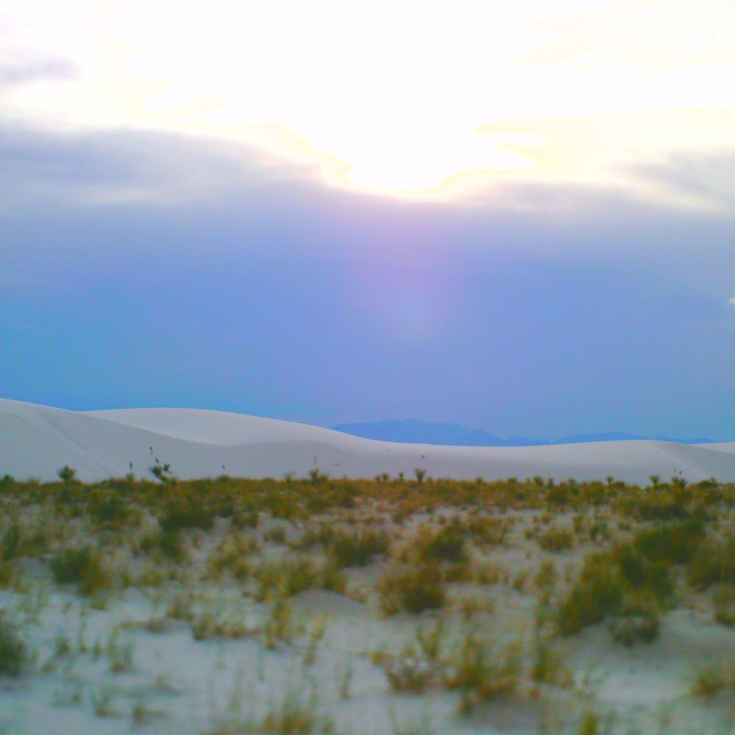Selected Photos, photograph 124